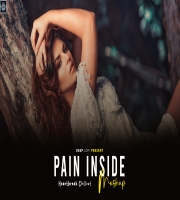Pain Inside Mashup 2025 Deep LoFi