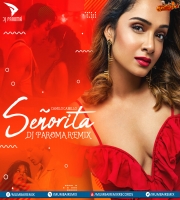 Senorita (Remix) - DJ Paroma