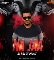 Najaa (Remix) - Sooryavanshi - Roady