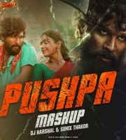 Pushpa Mashup DJ Harshal x Sunix Thakor