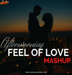 Feel of Love Mashup Aftermorning 2022
