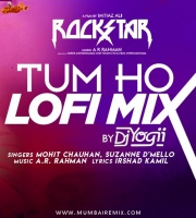 Rockstar - Tum Ho Lofi Mix DJ YOGII