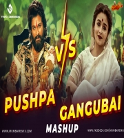Pushpa Vs Gangubai Mashup Third Dimension