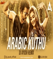 Arabic Kuthu Remix DJ Ayush Halamithi Habibo