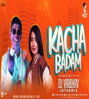 Kacha Badam Tapori mix DJ Vaibhav in the mix