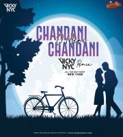 Chandani O Meri Chandani (Remix) - DJ VICKY NYC
