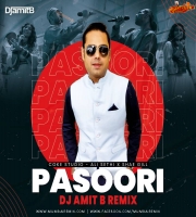 Pasoori Remix DJ Amit B