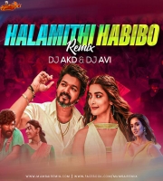 Halamithi Habibo (Mashup) DJ AKD x DJ AVI