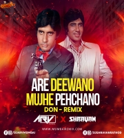 Are Deewano - DON (Remix) DJ ARV (Mumbai) x DJ SHRAVAN