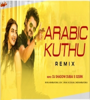 Arabic Kuthu (REMIX) DJ Shadow Dubai x O2SRK