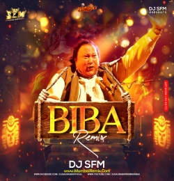 BIBA REMIX DJ SFM