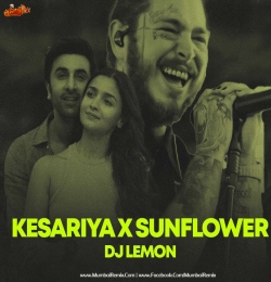Kesariya vs Sunflower Mashup - Dj Lemon