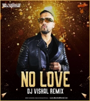 No Love (Remix) DJ Vishal