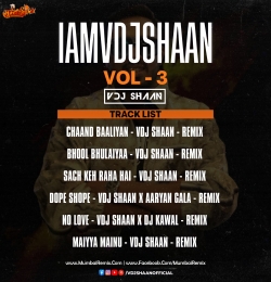 No Love VDJ Shaan X DJ Kawal Remix