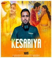 Kesariya Tera Remix VIBENATION