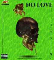 No Love Whos That Remix Shubh