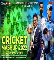 Cricket Mashup 2022 ICC T20 WorldCup DJ Shadow Dubai
