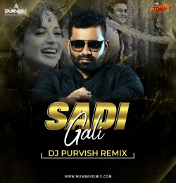 Sadi Gali (Remix) DJ Purvish