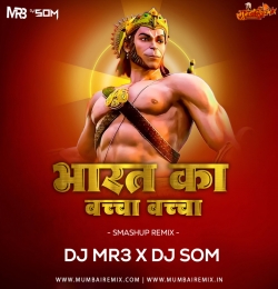 Bharat Ka Baccha Baccha (Smashup) DJ MR3 x DJ SOM