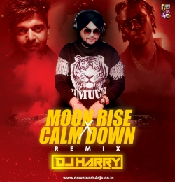 Moon Rise Vs Calm Down -DJ Harry Remix