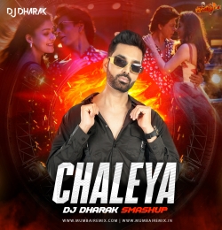 Chaleya (Smashup) DJ Dharak