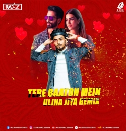 Teri Baaton Mein (Remix) DJ Raaz