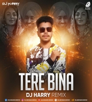 Tere Bina Na Guzara E (Remix) DJ Harry