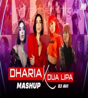 Dharia X Dua Lipa Mashup 2024 Dj Avi