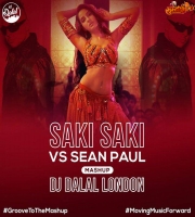 Saki Saki vs Sean Paul Mashup Dj Dalal 