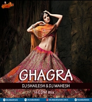 Ghagra - In EDM mix - Dj Shailesh x Dj Mahesh Kolhapur