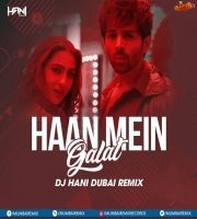 Haan Mein Galat (Remix) - DJ Hani Dubai