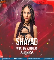 Shayad X What Do You Mean (Mashup) - DJ Anamica
