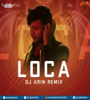 Loca (Remix) - Yo Yo Honey Singh - DJ ARIN