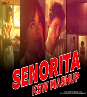 SENORITA (Remix) KSW