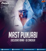 Mast Punjabi (Exclusive Mix) DJ Cracker
