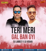 Teri Meri Gal Ban Gyi (Remix) Sahotas - DJ Labbeey X DJ Vishav