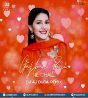 Gajban Pani Ne Chali (Remix) DJ AJ Dubai