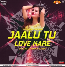 Jaalu Tu Love Kare (Dutch Remix) DJ SAJID x DJ ASHIF H x DJ SAIF