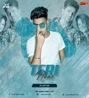 Teri Naar - Nikk - (Remix) DJ Aftab