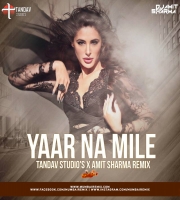 Yaar Na Mile - Tandav Studios x Amit Sharma Remix