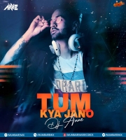 Tum Kya Jano (Remix) - DJ Anne
