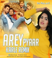 Arey Pyaar Kar Le (Remix) - DJ Palak