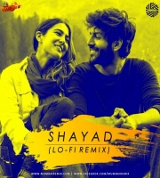 Shayad (Lo-Fi Remix) DJ MITRA  Arijit Singh